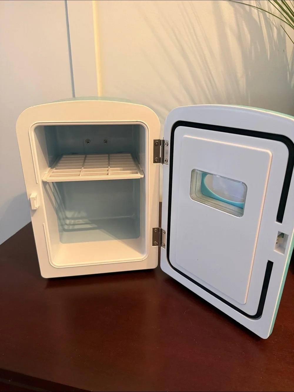 Frigidaire Retro Mini Food Storage Cooler in Aqua